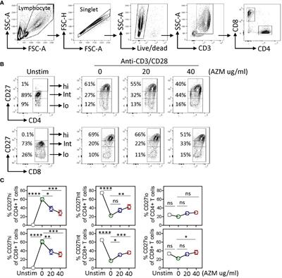 Azithromycin targets the CD27 pathway to modulate CD27hi T-lymphocyte expansion and type-1 effector phenotype